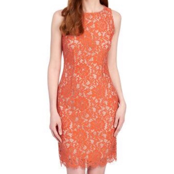 Nicole Miller Studio Women’s Orange Lace Dress NWT - Picture 1 of 6